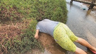 像这种比头还大的螃蟹洞可不多见，玉平冒雨也要挖开，挖到就赚到