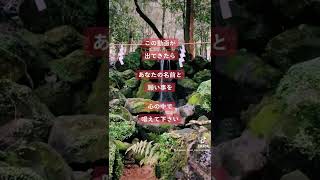 ※とんでもないパワーです…これが表示されたら幸運が訪れるサインです※京都No.1最強パワースポット【遠隔参拝】出雲大神宮 ⛩本編公開中！ #Shorts
