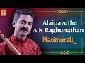 Alaipayuthe  | a carnatic flute concert by A.K.Raghunathan | Hari Murali