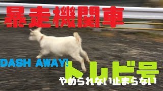 【やさしいヤギの飼い方】暴走機関車トレビ号　編