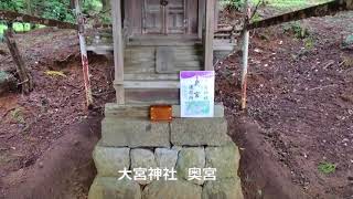 賀茂別雷神社