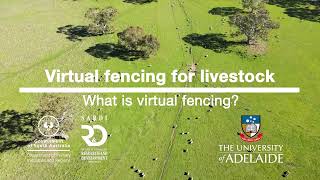 What is virtual fencing? SARDI virtual fencing for livestock