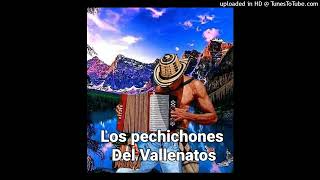 La Perra Los Pechichones Del Vallenatos