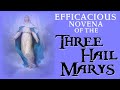 EFFICACIOUS NOVENA OF THE THREE HAIL MARYS