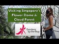 Singapore's Flower Dome & Cloud Forest at Gardens by the Bay