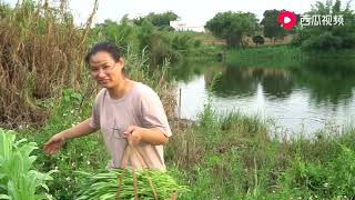 农村用猪粪种出来的蔬菜，你们敢吃吗，长的速度实在太快了