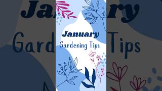 Floridians! January Tips for the Garden