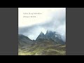 Si Bheag Si Mhor (Harp Version)