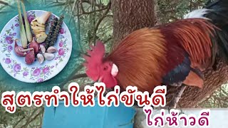 สูตรสมุนไพรทำให้ไก่ขันดีคนเลี้ยงไก่ตั้ง ไก่ต่อ ดูคริปนี้ให้จบ