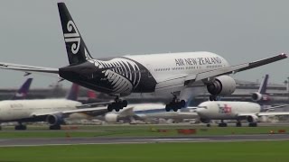 台風八号!!強風着陸!!Air New Zealand NARITA RWY16R!!成田空港 さくらの山公園!!