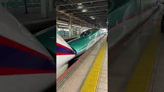 [April 2024 “Face of E3 series Tsubasa + E5 series Yamabiko” Shinkansen Omiya Station]