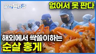 니들이 게 맛을 알아? 🦀 손질하는 대로 팔린다 외국에 소문나버린 강원도 홍게ㅣ다리 따로 몸통 따로 포장해 수출 효자 품목된 국내산 붉은 대게 ㅣ극한직업│#골라듄다큐