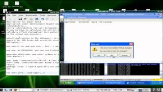 Hacker Course - Remote buffer overflow tutorial (Advanced)