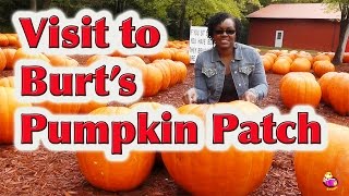 Field Trip to the Pumpkin Patch - LittleStoryBug