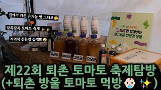 제22회 퇴촌 토마토 축제 탐방(퇴촌 방울 토마토 먹방👶🏻✨)