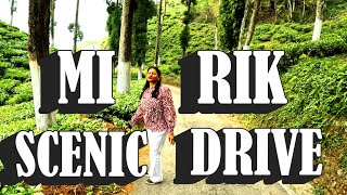 Mirik to Siliguri Scenic Drive || Mirik Road Trip Adventure || Darjeeling Tour