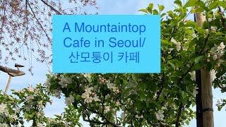 A great cafe in Seoul: Sanmotunngi cafe/ 부암동에 산모퉁이 카페