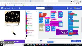 MakeCode to program Micro:bit Pet