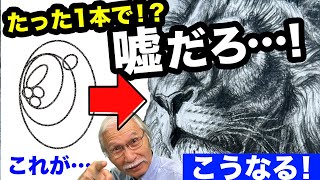 嘘だろ…!? 鉛筆だけで生まれる“衝撃の動物画”がヤバすぎた！