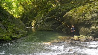 渓流釣り　８寸は抜いて欲しい！＜真似ることが上達の早道＞