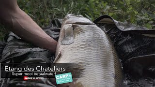 Etang des Chateliers karpervissen in Frankrijk, grote karpers en zeer rustig!