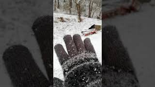 佐渡　雪で白くなっていく