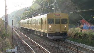 【山陽本線】JR西日本　地域色115系D-28編成