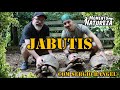 Jabutis - Com Biólogo Sérgio Rangel - Momento Natureza