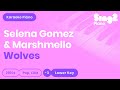 Wolves (LOWER Piano Karaoke) Selena Gomez & Marshmello