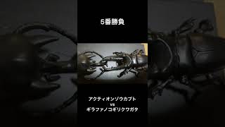 アクティオンゾウカブト　10番勝負