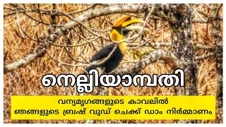 നെല്ലിയാമ്പതിയിലെ ബ്രഷ് വുഡ് ചെക്ക് ഡാം | NELLIYAMPATHY | BRUSHWOOD CHECK DAM NELLIYAMPATHY