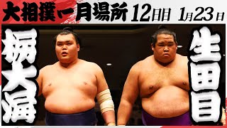 大相撲　栃大海ー生田目＜令和7年一月場所・１２日目＞SUMO