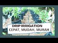 Cara mudah pasang sistem pengairan / How to install a simple drip irrigation system