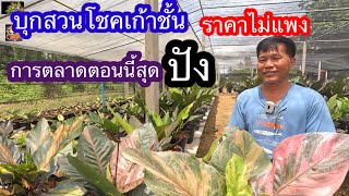 บุกสวนโชคเก้าชั้นราคาไม่แพง แต่การตลาดตอนนี้สุดปัง 10\\6\\67