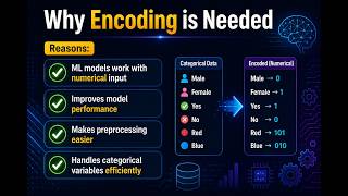 Data Encoding in Machine Learning (Full Beginner Guide)