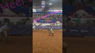 Heel down on ol MJ#rodeoevent #rodeo #cowboylife #horse #rodeosport #cowboys #teamroping #rodeotime