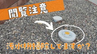 【閲覧注意】掃除しないと大変！！汚水枡の詰まりがやばい！！！