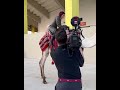 bayley enjoying the ride of camel in riyadh saudi arabia at wwe crown jewel 2022 part 2