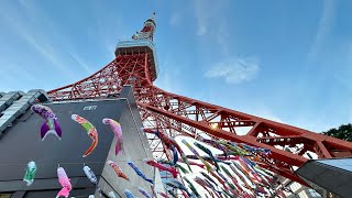 Koinobori at Tokyo Tower