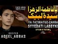 Ya Fatima Tu Zahra - سید مجید - یا فاطمه الزهرا صلی الله علیک - Noha Bibi Fatima 2022 - Aqeel Abbas