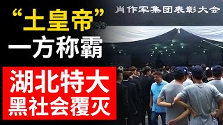 以黑养商 黑恶势力竟披上“公司化”外衣！当街打人 湖北黑老大覆灭！【扫黑除恶】