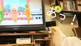 キューピー始まったから、とりあえず歌っておく