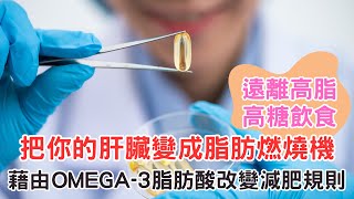 藉由Omega-3脂肪酸改變減肥規則，遠離高脂高糖飲食，把你的肝臟變成脂肪燃燒機，藉由調整肝臟健康達到理想體重