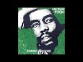 Peter Tosh - Johnny B. Goode (Single Version) - Vinyl recording HD