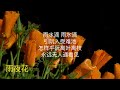 雨夜花 台湾流行民谣 ~ 邓丽君