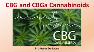 CBG and CBGa Cannabinoids