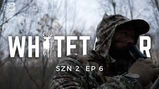 Whitetailer Szn 2 | Ep 6 Kentucky Archery Rut Hunt - Public Land