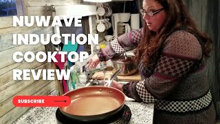 The Truth About the New Wave Gold Induction Cooktop: Review and Problems