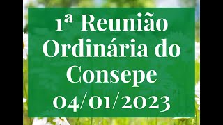 Consepe - 1ª Reunião Ordinária 04/01/2023