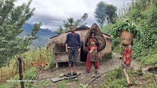 This is Himalayan Nepali Rural Village Lifestyle | Organic Food Cooking in Countryside | Hari Rokaya